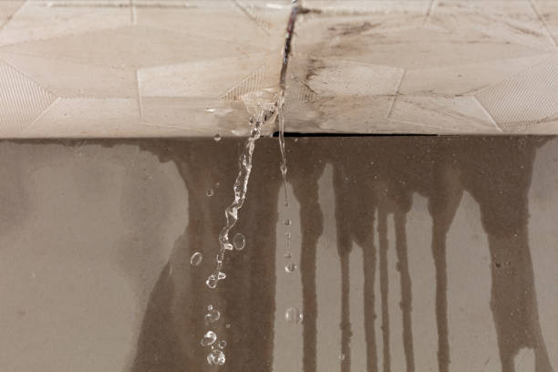Professional Sewage Cleanup technician working in Wesley Chapel, FL